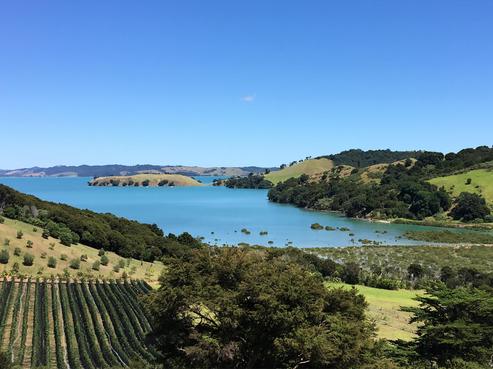 215B Awaawaroa Road, Waiheke Island