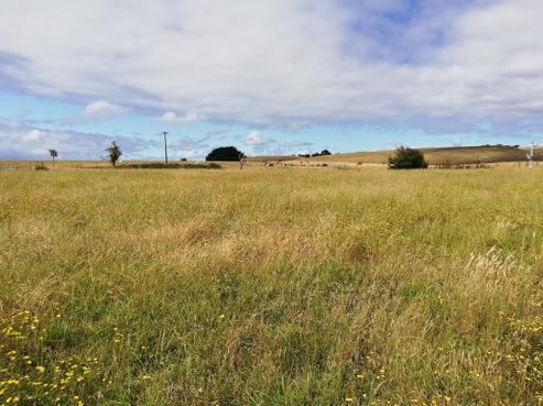 320 Lees Road, Feilding
