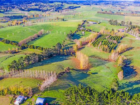 85 Mckinley Road, Kokopu