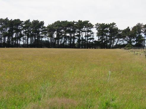 117 Aicken Road, Otatara