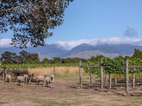 46 Waipipi Road, Opaki