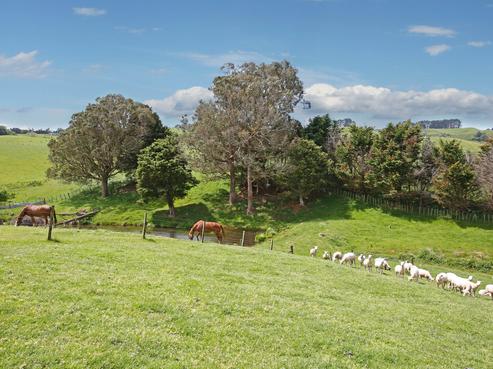 463A Wairamarama Onewhero Road, Onewhero