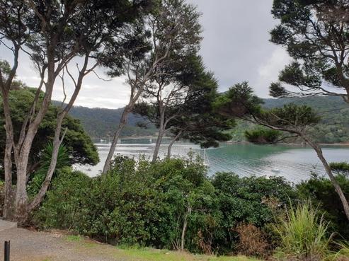 767 Whangaparapara Road, Great Barrier Island