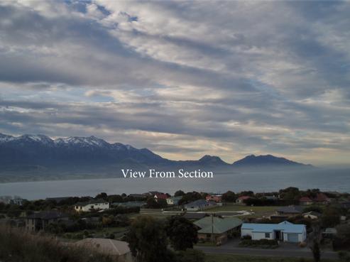 2 Lookers On Lane, Kaikoura