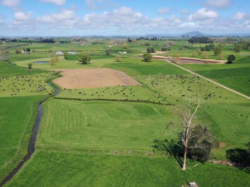 1167 Roto O Rangi Road, Rotoorangi