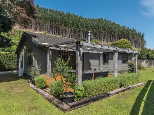 4 Poneke Drive, Waikanae