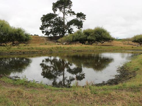 301 State Highway 1, Foxton