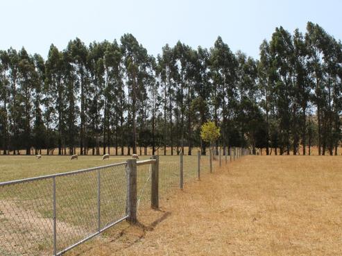 363 Catherwoods Road, Cust