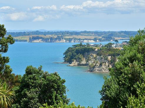113 Roberts Road, Matakatia