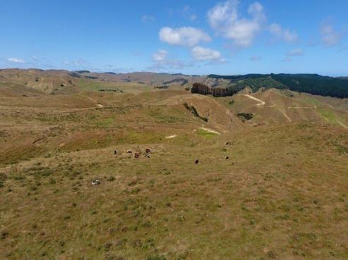 335 Te Waitere Road, Taharoa