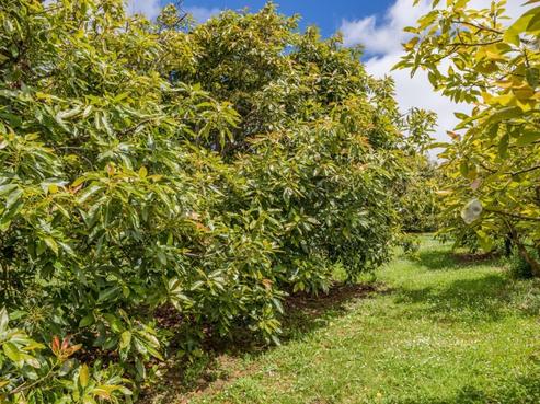1700 State Highway 14, Maungatapere