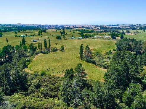 888 Maungatautari Road, Cambridge