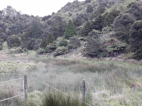 160 Tunnel Road, Puhoi