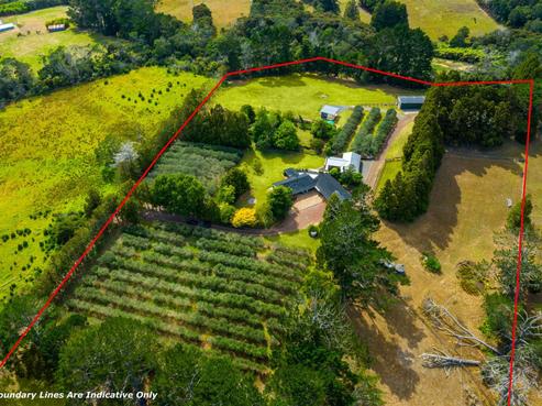 12 Coulter Road, Swanson