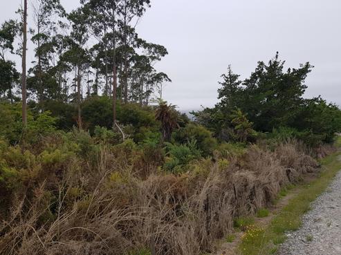 274 Utopia Road, Westport