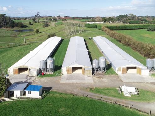 131 Kingseat Road, Patumahoe