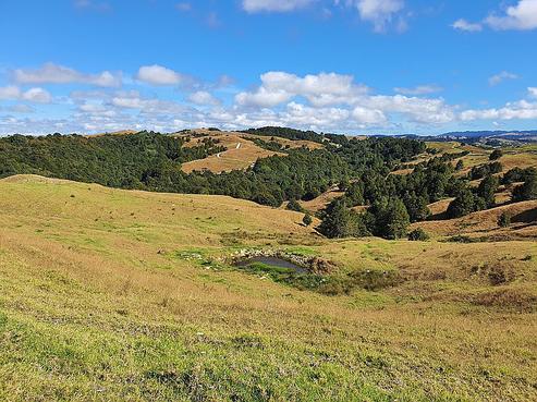 490 Bickerstaffe Road, Maungaturoto