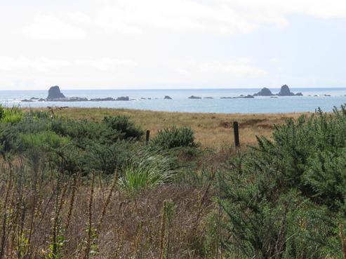 1036 Cape Foulwind Road, Cape Foulwind