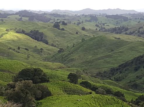 280 Paponga Road, Herekino