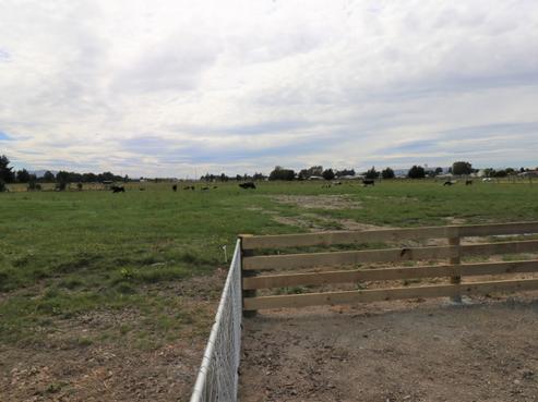 12 McConnell Street, Mataura