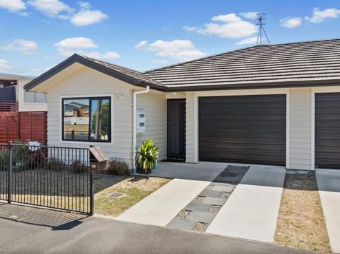 19 Albert Street, Hamilton East