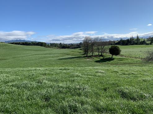 318 Pokuru Road, Te Awamutu
