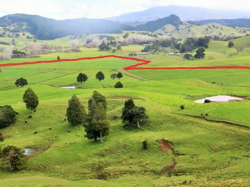 1008 Tangowahine Valley Road, Dargaville Surrounds