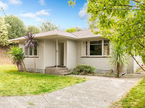 13 Wiremu Street, Hamilton East