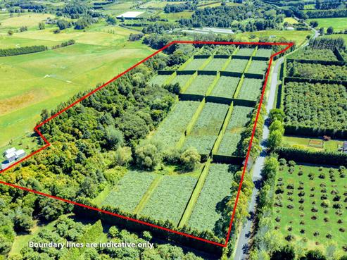 319 Whatitiri Road, Poroti