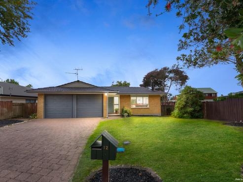 12 Muirfield Street, Wattle Downs