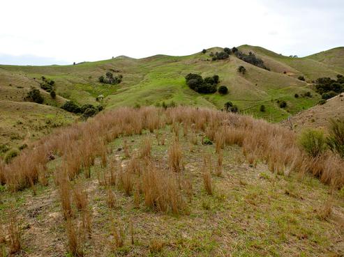 85 Haul Road, Makarau