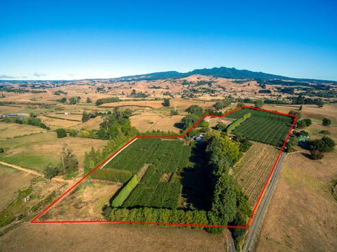 29 Wyatt Road, Te Awamutu