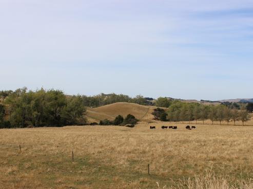 21 Blairgowrie Road, Dannevirke