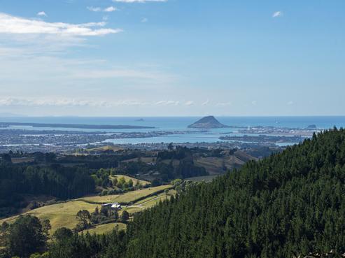 470 Rowe Road, Ohauiti