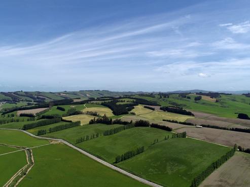 2110 Moa Flat Road, West Otago Surrounds