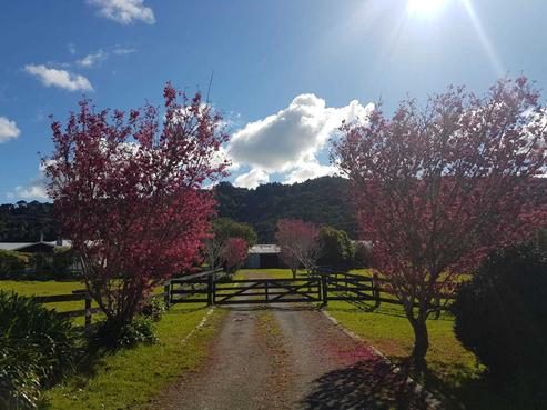 107 Kanohi Road, Kaukapakapa