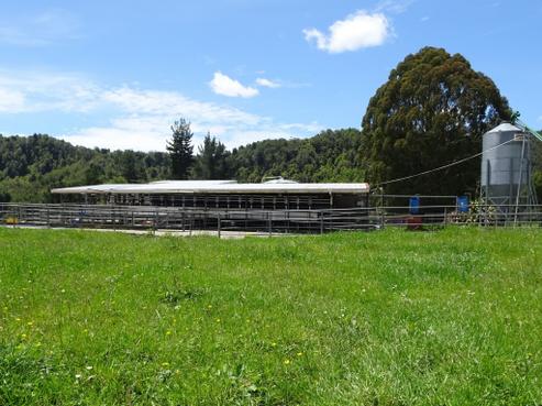 522 Gannons Road, Reefton