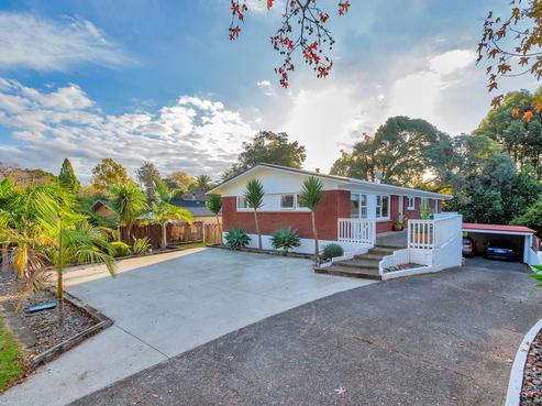 25 Moloney Terrace, Pukekohe