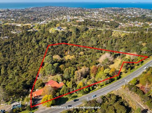 989 East Coast Road, Redvale
