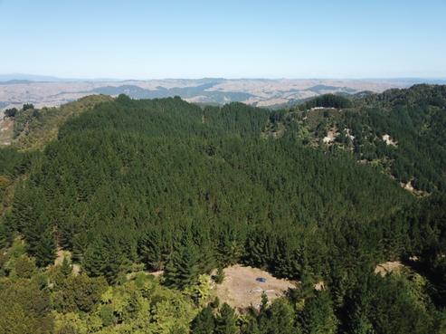 2 Kururau Road, Taumarunui