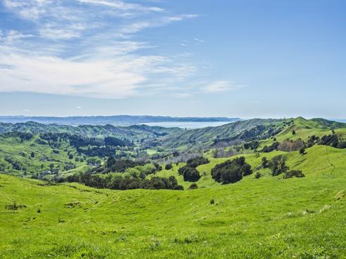 211 Pakowhai Road, Muriwai
