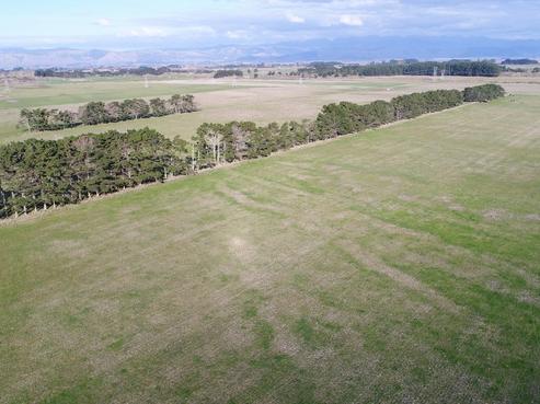 414 Hickford Road, Foxton