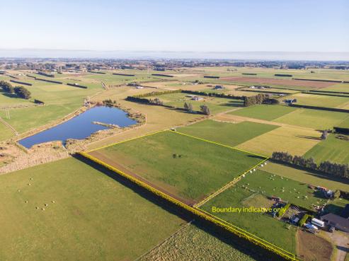 270 Roslyn Road, Roslyn Bush