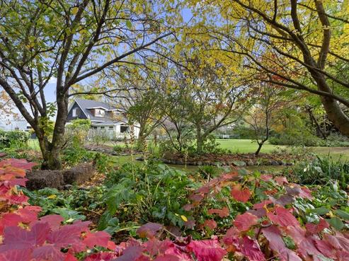 93 Coldstream Road, Ashley