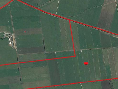 223 Seifert Road, Morrinsville