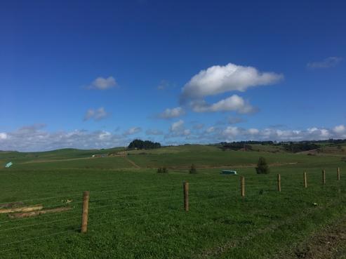 490 Waimate North Road, Kerikeri