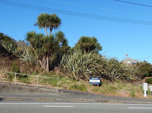 24 Whall Street, Greymouth