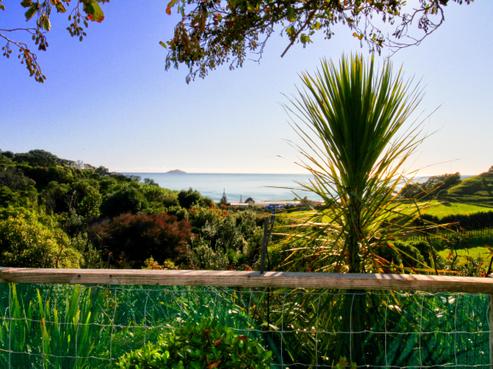 72 Thompson Road, Opotiki and Surrounds