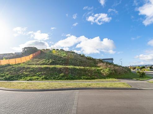 2 Telford Way, Raumati Beach