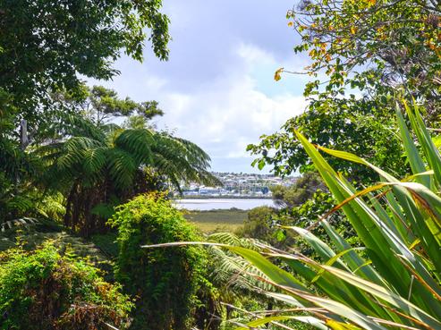 4/24 Dawnhaven Drive, Te Atatu Peninsula